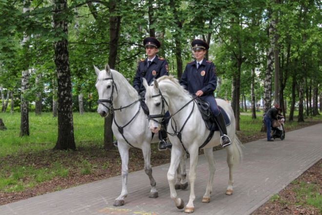 Нижегородская конная полиция перешла на усиленный вариант несения службы - фото 1