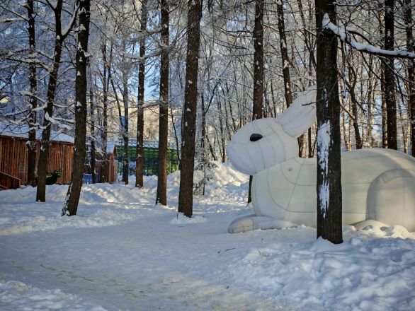 Аномальные морозы в Нижнем Новгороде: фоторепортаж из заснеженных парков - фото 3