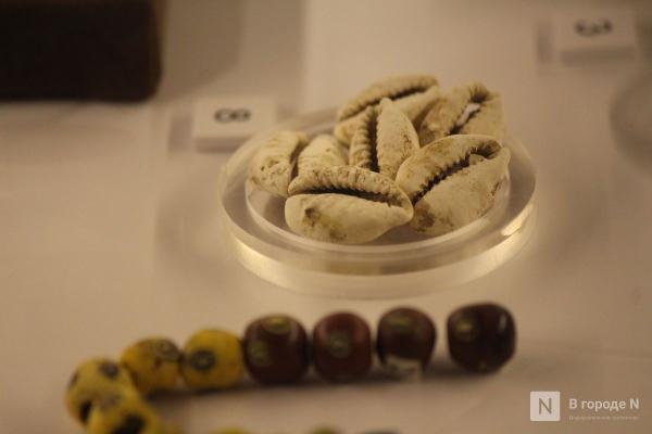 Монеты, украшения и боевые топоры: фоторепортаж с выставки археологических находок в Нижнем Новгороде
