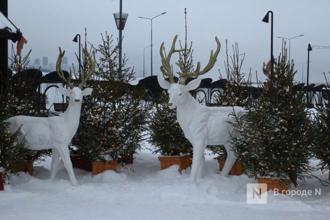 Добрый Новый год: нижегородские благотворители дарят праздник - фото 16