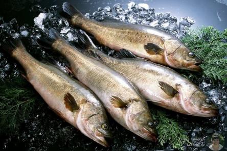 В Роскачестве рассказали, как выбрать безопасный минтай