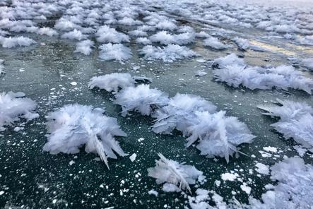 Голубые собаки и ледяные блинчики: чудеса уходящей зимы в Нижегородской области