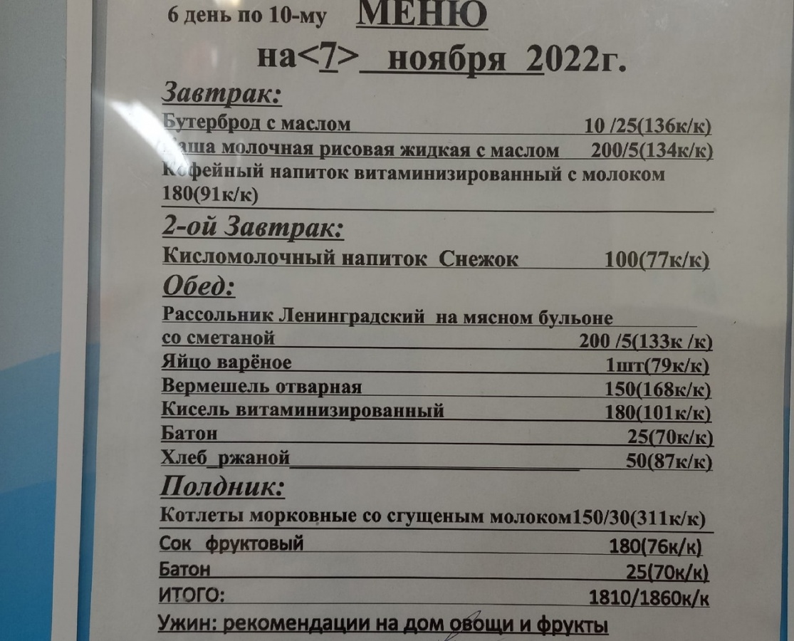 Нижегородка пожаловалась губернатору на отсутствие мясных блюд в детских  садах