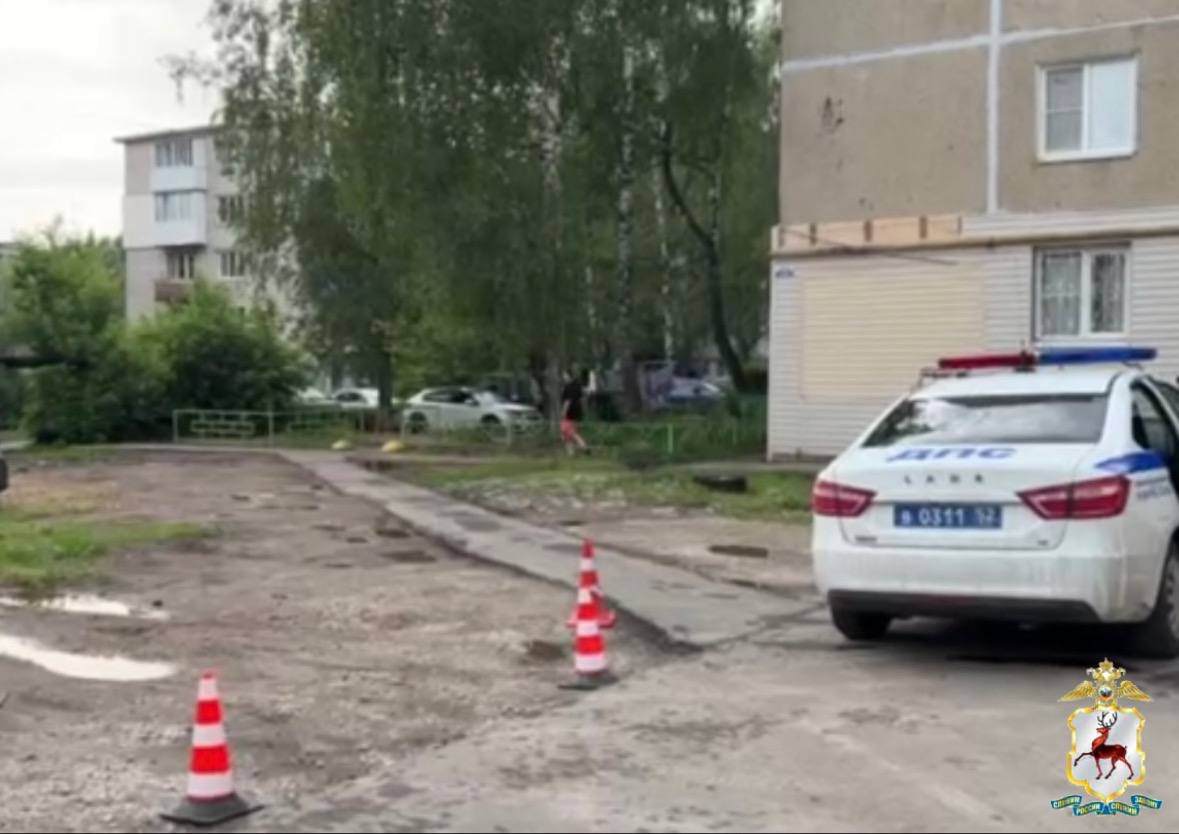 Полиция разыскала водителя, сбившего пенсионерку в Богородске - фото 1