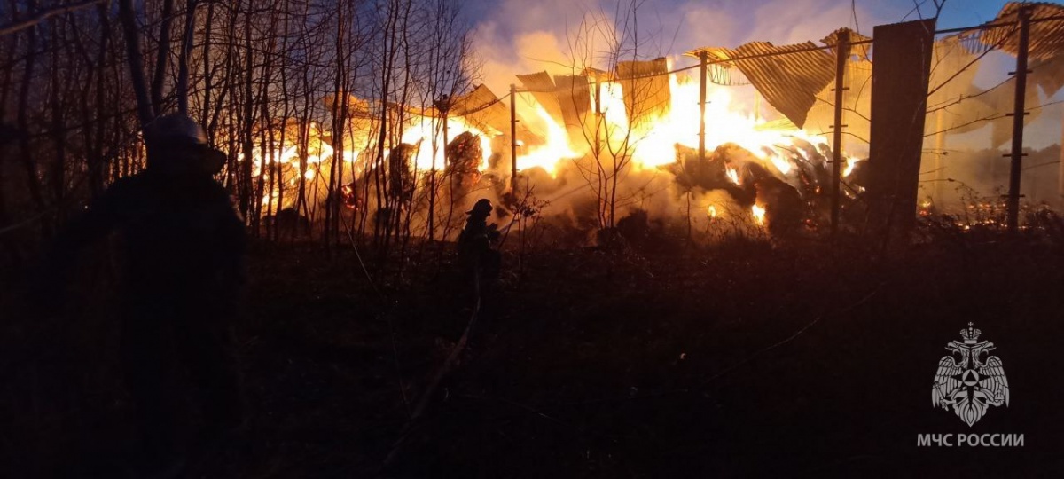 Крупный пожар вспыхнул в селе в Нижегородской области - фото 1