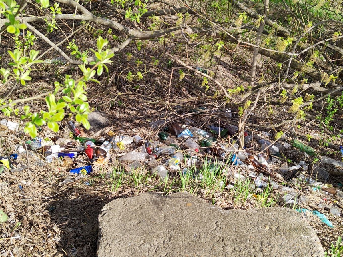 Свалки мусора у озера на Малышевских гривах возмутили нижегородцы - фото 1