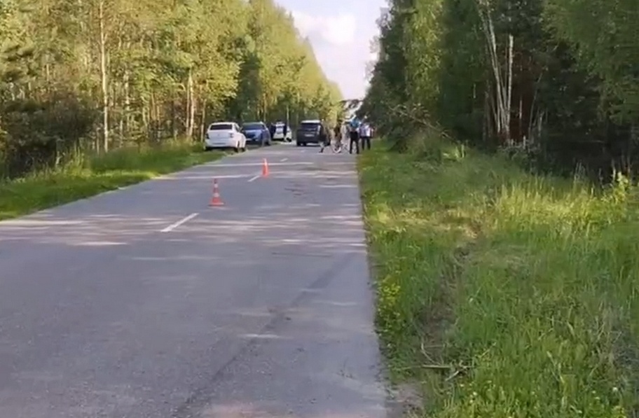 Водитель погиб в кювете на дороге в Вознесенском округе - фото 1