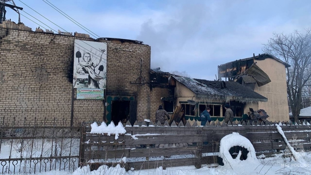 Раскрыты новые подробности пожара на нижегородской ферме, где погибли 150 животных - фото 1