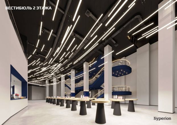 Нижегородцам показали, как будет выглядеть Ледовая арена изнутри - фото 5