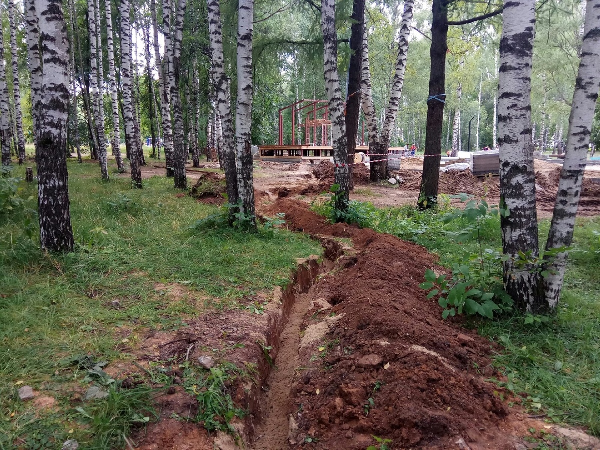 ОНФ обратился в прокуратуру из-за деревьев, поврежденных во время благоустройства в Нижнем Новгороде - фото 1