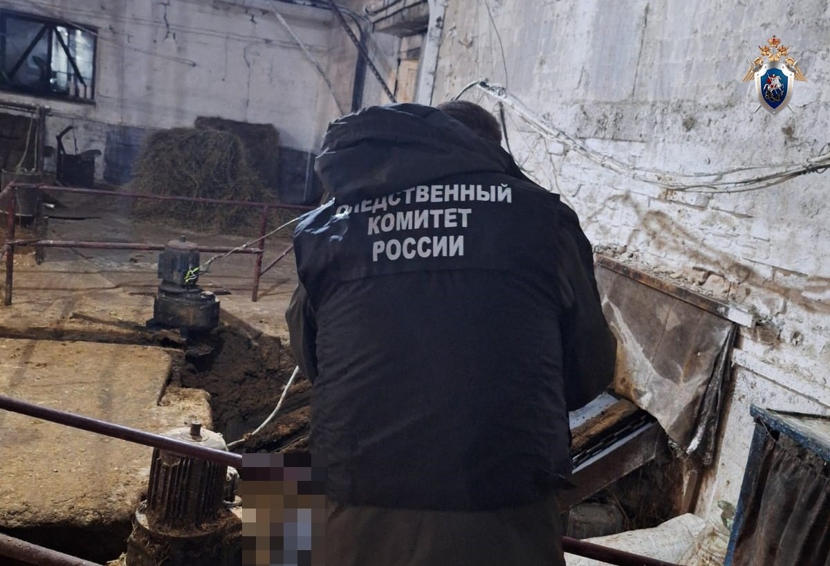 Уголовное дело возбуждено из-за гибели животновода в Нижегородской области - фото 1