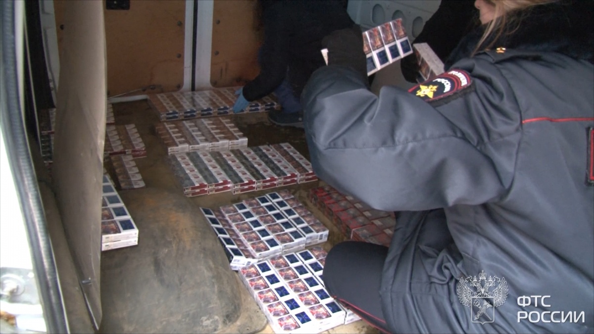 Более двух тысяч блоков сигарет с поддельными акцизными марками изъяли у нижегородца - фото 1