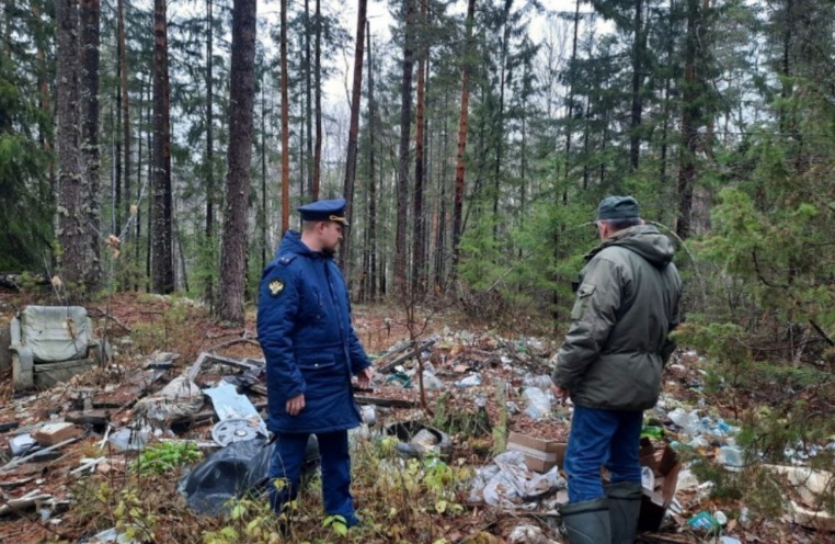 Свалку и самовольные строения нашли в нижегородском национальном парке - фото 1