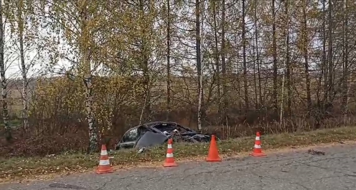 Водитель погиб после опрокидывания авто на обочину в Нижегородской области - фото 1