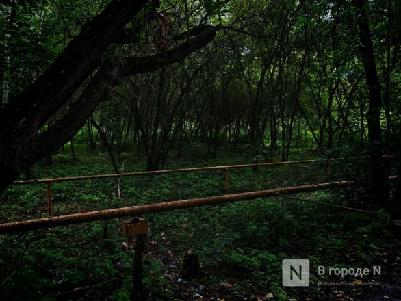 Вторая пошла: как выглядят места, где появится новая канатная дорога в Нижнем Новгороде - фото 30