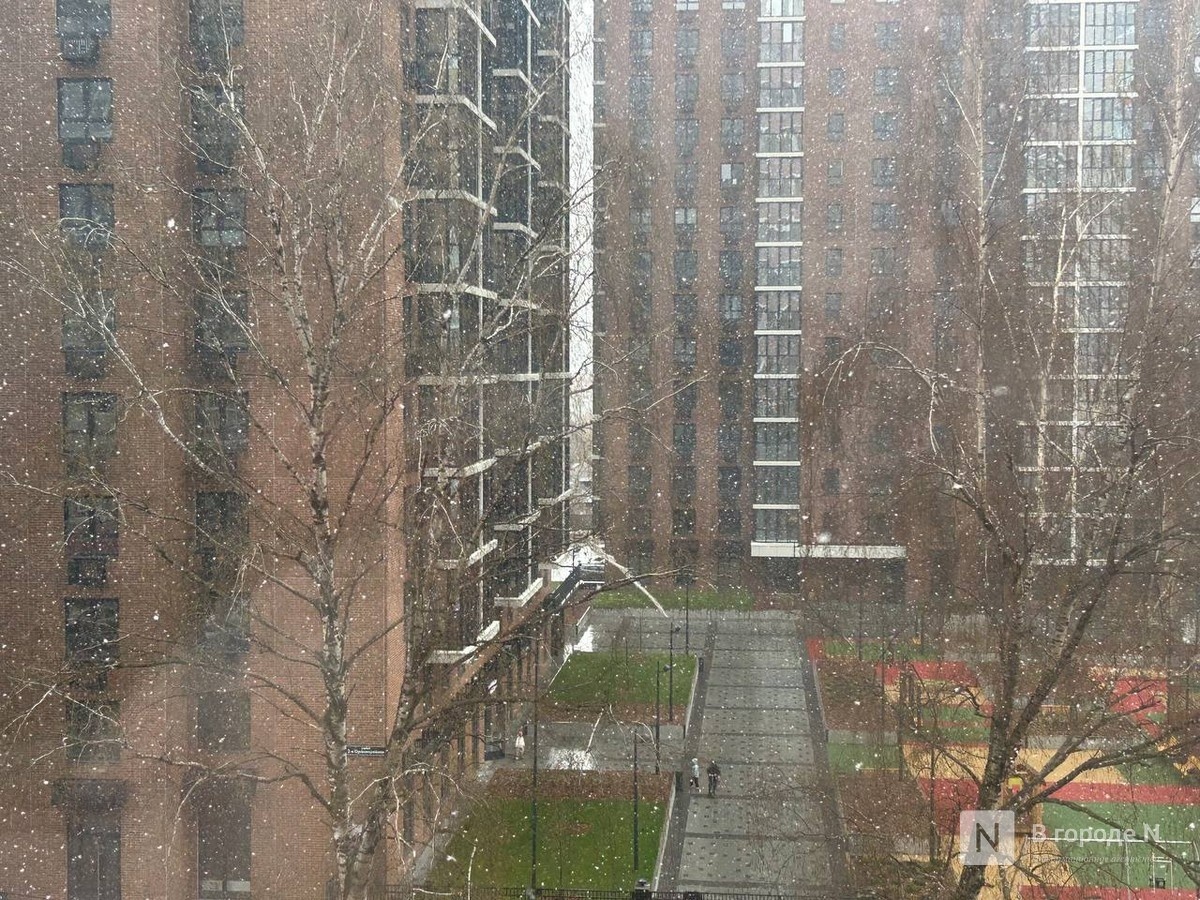 Резкое похолодание и дожди придут в Нижний Новгорода на рабочей неделе - фото 1