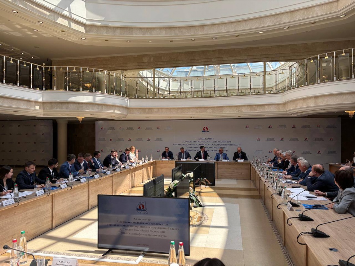 Евгений Люлин принял участие в заседании Ассоциации молодежных парламентов ПФО - фото 1