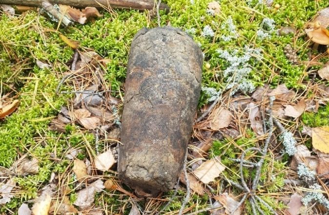 Около семи боеприпасов обнаружили грибники в нижегородском лесу - фото 5