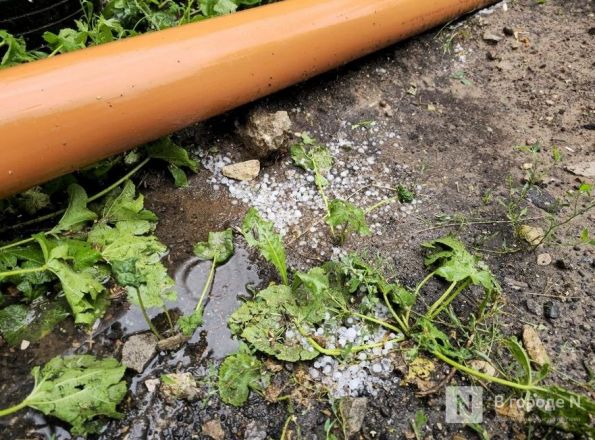 Гроза, ливень и град обрушились на Нижний Новгород: фото - фото 2