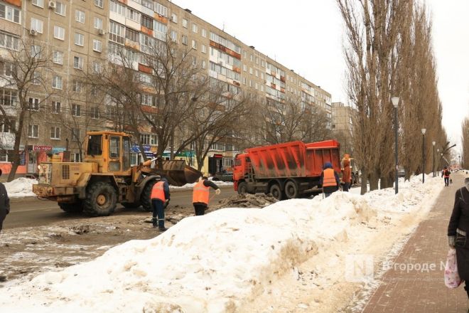 ДУКи, ГЖИ, администрация: кто в ответе за нижегородский снег - фото 11