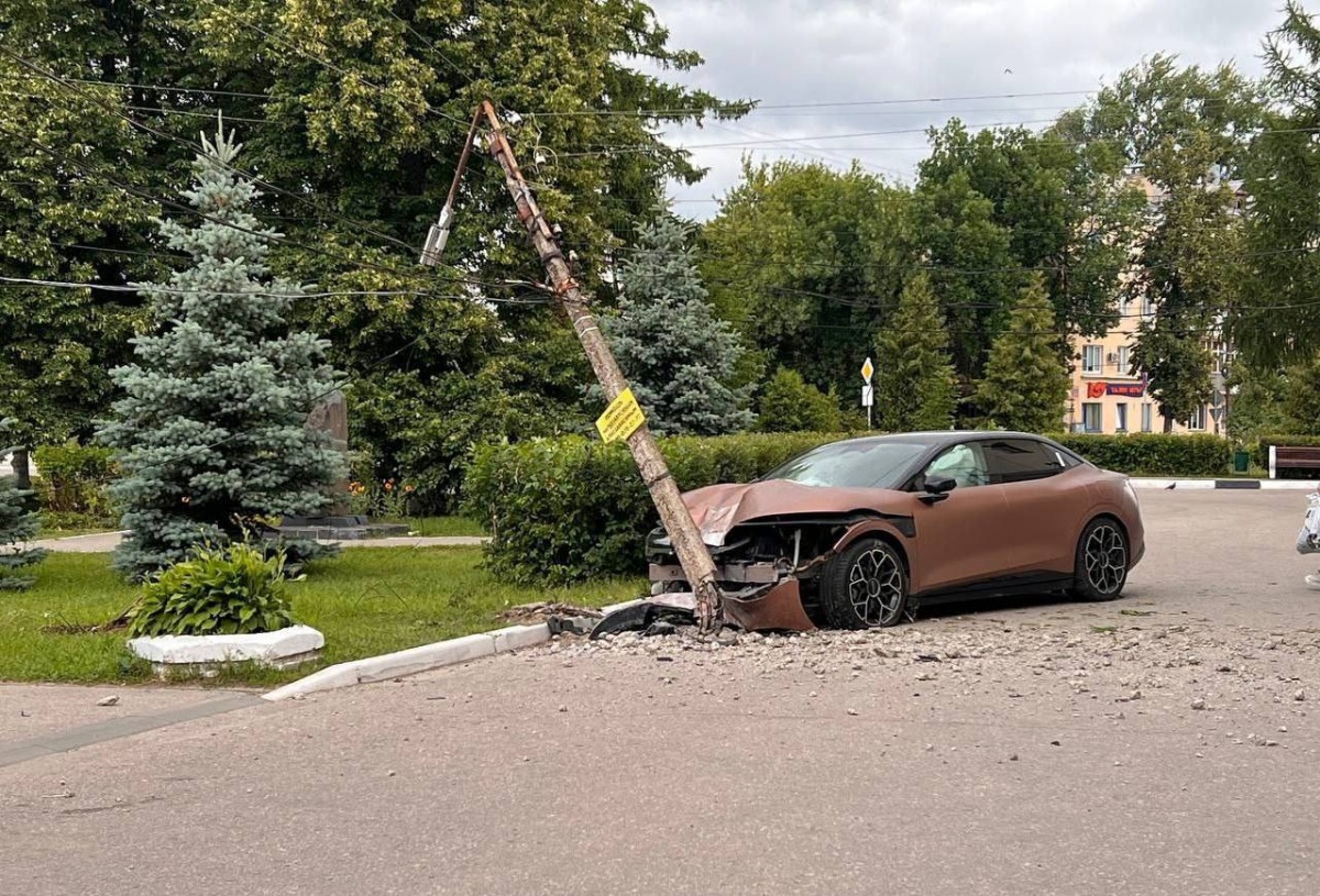 Электроавтомобиль разгромил сквер и врезался в столб на Бору - фото 1