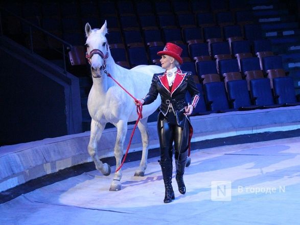 Возвращение &laquo;Бурлеска&raquo;: Нижегородский цирк открывается уникальным шоу Гии Эрадзе - фото 48