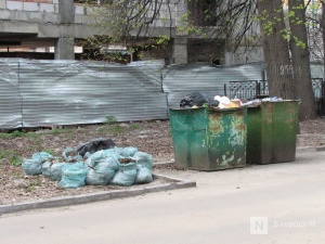 Нижегородская область заняла шестое место среди самых замусоренных регионов России