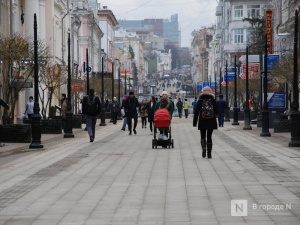 5 млрд рублей материнского капитала получили нижегородские семьи в 2019 году
