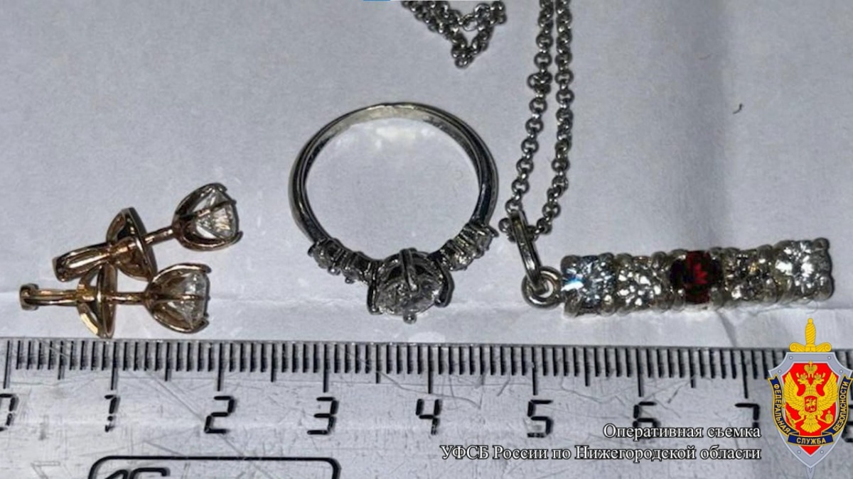 ФСБ поймала нижегородца-контрабандиста с бриллиантами из ОАЭ - фото 1