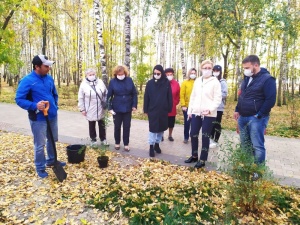 Около 60 деревьев заменили в Светлоярском парке