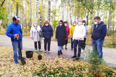 Около 60 деревьев заменили в Светлоярском парке