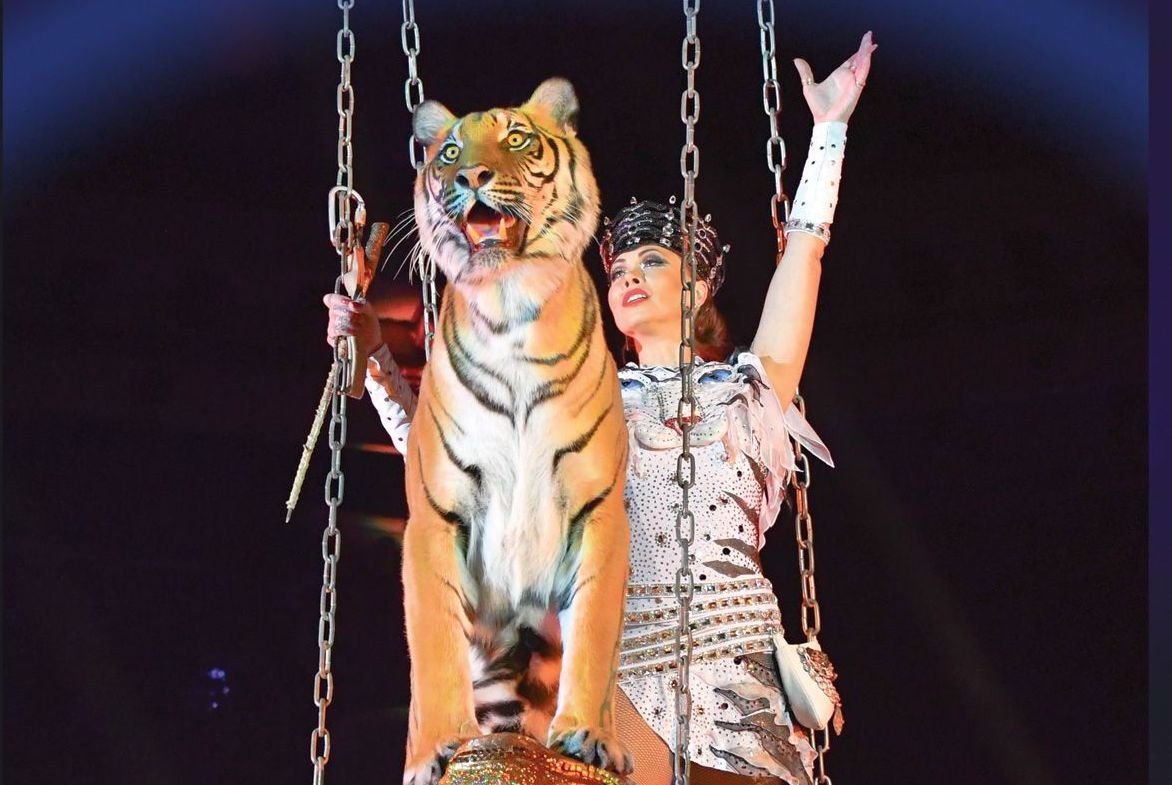 Тигр на шаре и романтика под дождем: новое шоу в Нижегородском цирке - фото 1