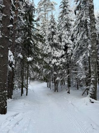 Мэр Нижнего Новгорода Юрий Шалабаев опубликовал фото с зимнего отдыха - фото 2
