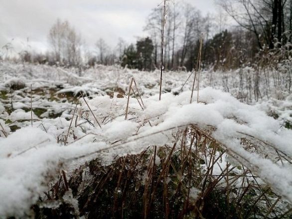 Нижегородцы делятся фотографиями первого снега и лепят снеговиков - фото 5