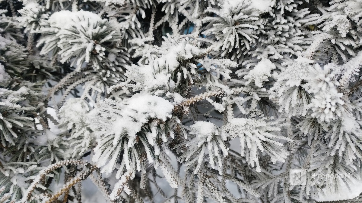 Снегопад в Нижнем Новгороде не прекратится до 17 декабря - фото 1