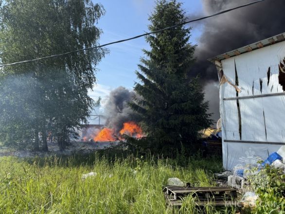 Опубликованы фото с места мощного пожара на заводе в Дзержинске - фото 5