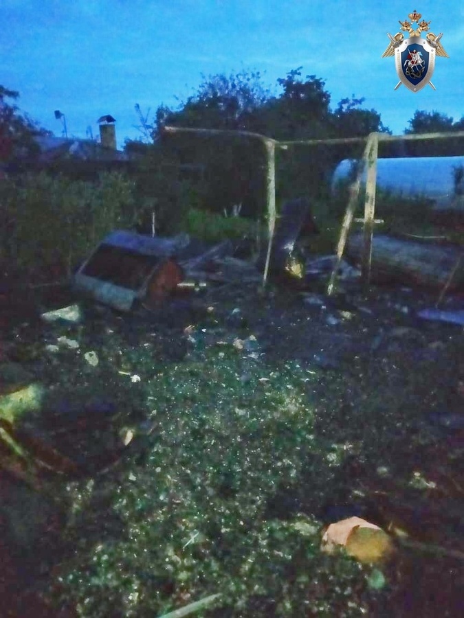 Пенсионерка погибла на пожаре в дачном домике в Автозаводском районе - фото 1