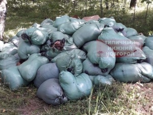 Ветслужба приступила к ликвидации найденных на Южном обходе биологических отходов