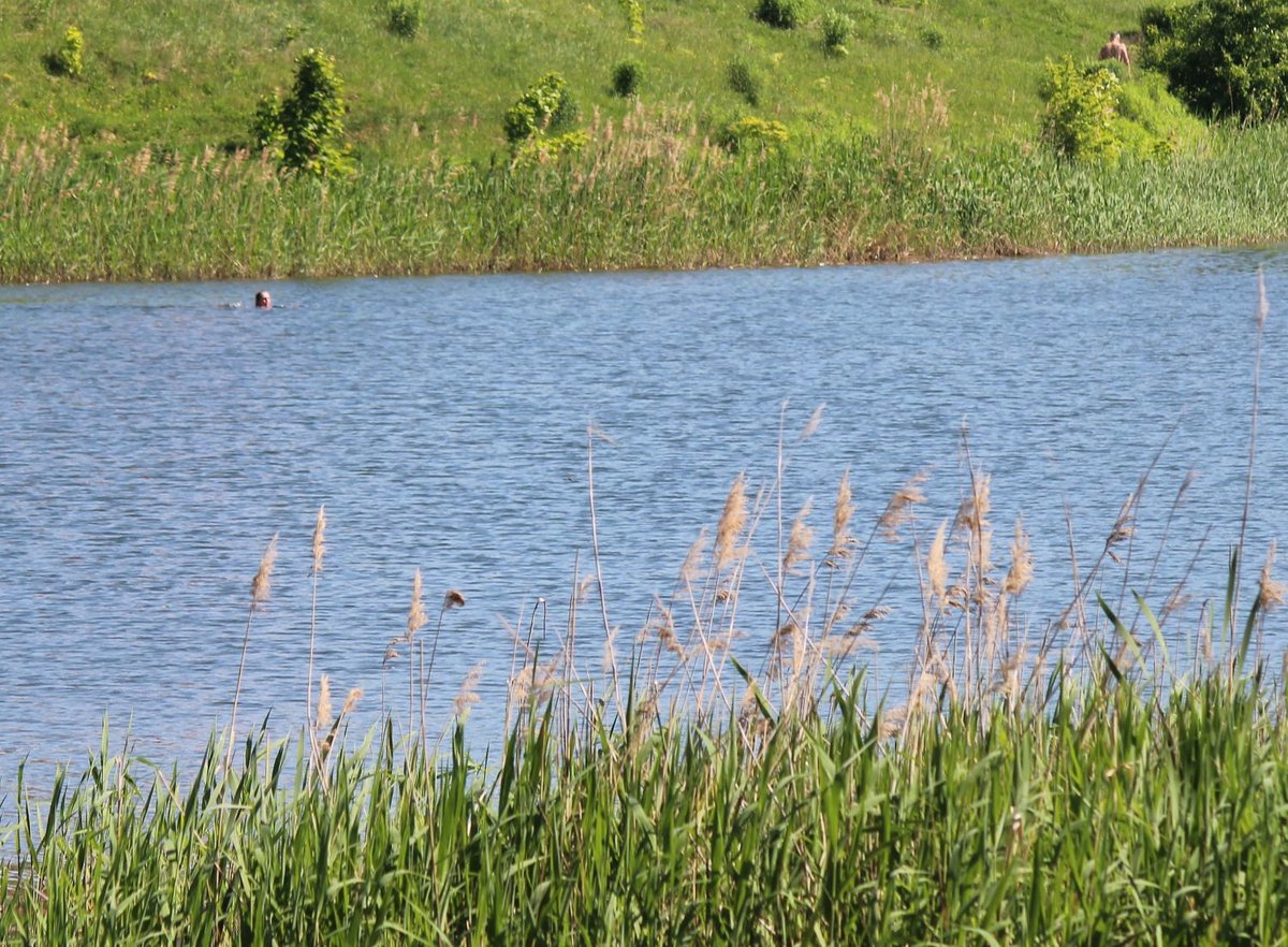 Тело 14-летнего подростка нашли в озере в Дзержинске