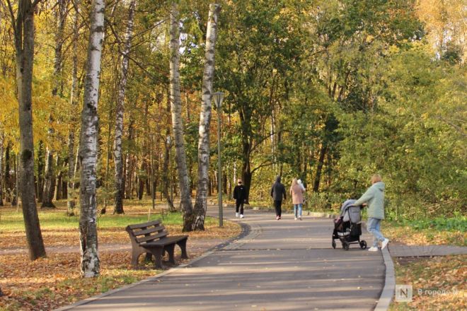 Фоторепортаж: золотая осень в Нижнем Новгороде - фото 60