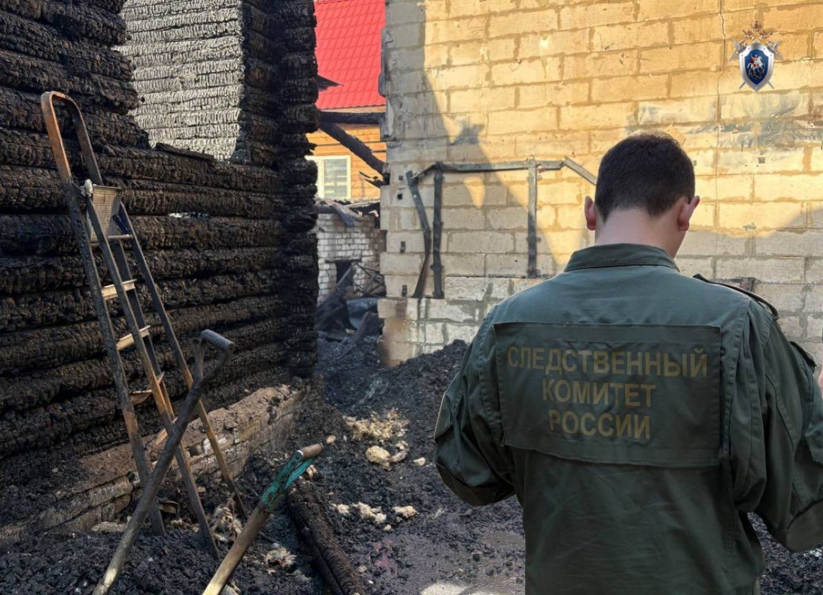 Уголовное дело возбуждено из-за смерти на борском пожаре шестилетней девочки - фото 1