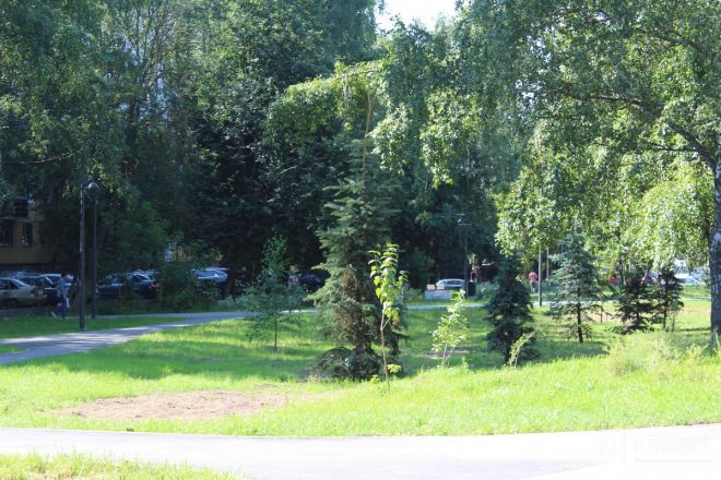 Благоустройство бульвара на проспекте Гагарина завершилось в Нижнем Новгороде - фото 50