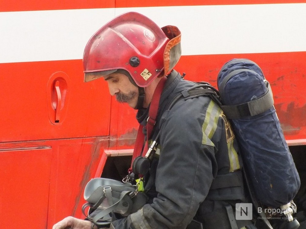 Два человека получили ожоги разных степеней на пожаре в Богородском районе - фото 1