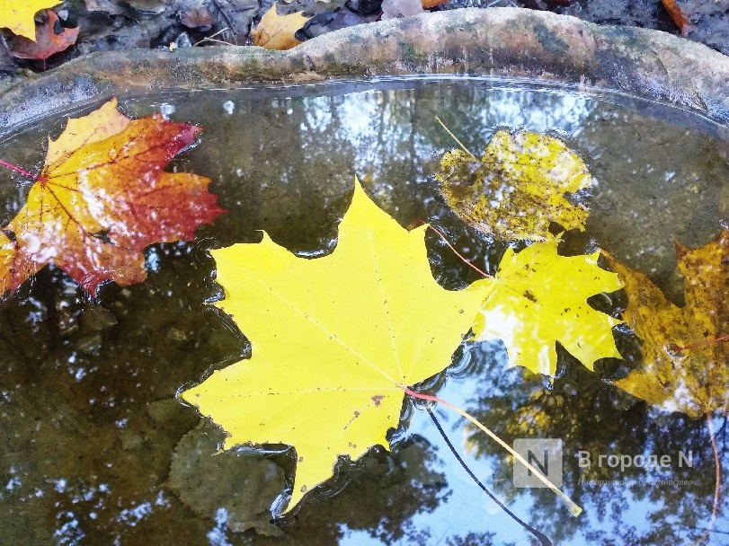 Стало известно, какая погода ждет нижегородцев 8-9 ноября - фото 1