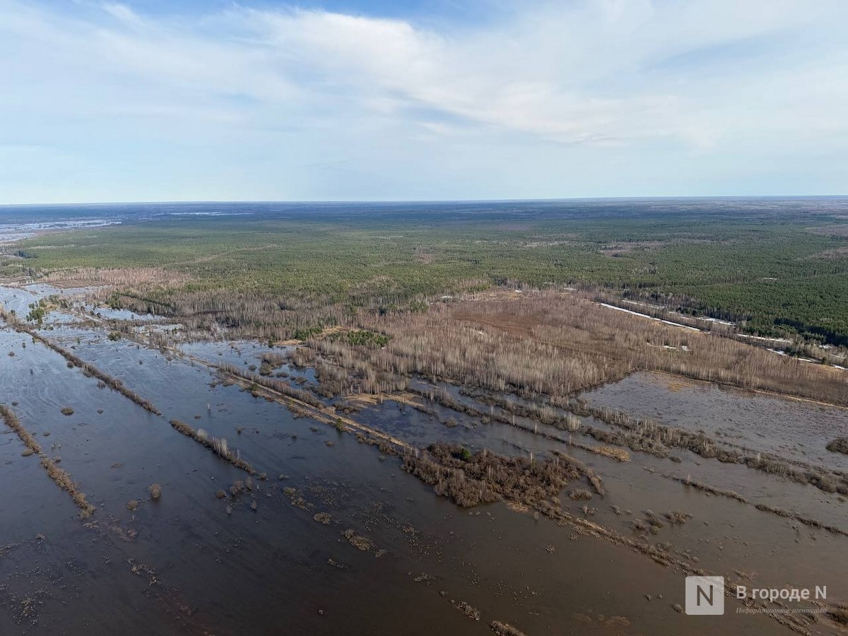 Девять мостов и пять участков дорог затоплены в Нижегородской области - фото 1