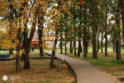 Обновленный Пановский сад открылся в Нижегородской области - фото 3