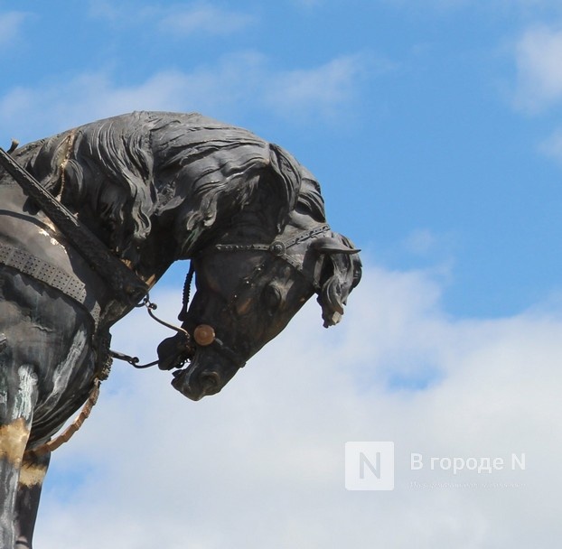 Город хвостатых скульптур: где в Нижнем Новгороде появились новые памятники животным - фото 31
