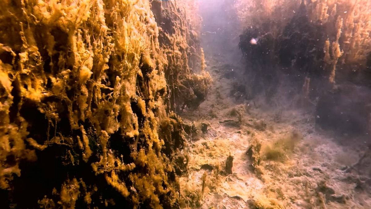 Захватывающие кадры со дна ледяного озера Ключик показали нижегородцам - фото 2