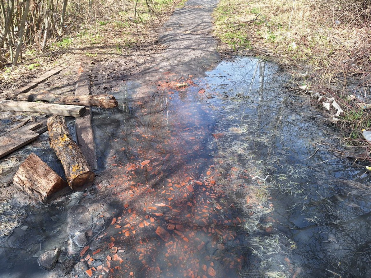 Росприроднадзор заинтересовался разливом канализации в Богородске - фото 1