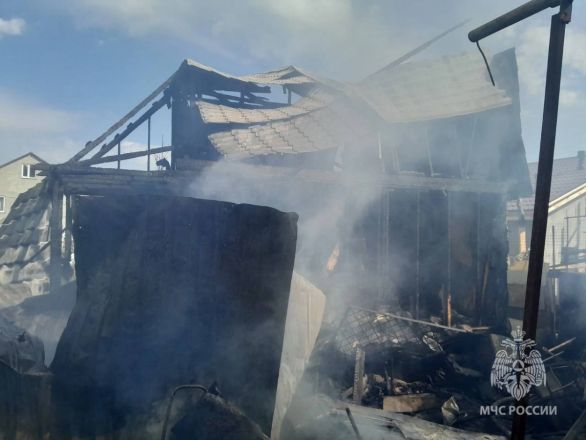 Крупный пожар вспыхнул в садовом товариществе в Нижнем Новгороде - фото 3